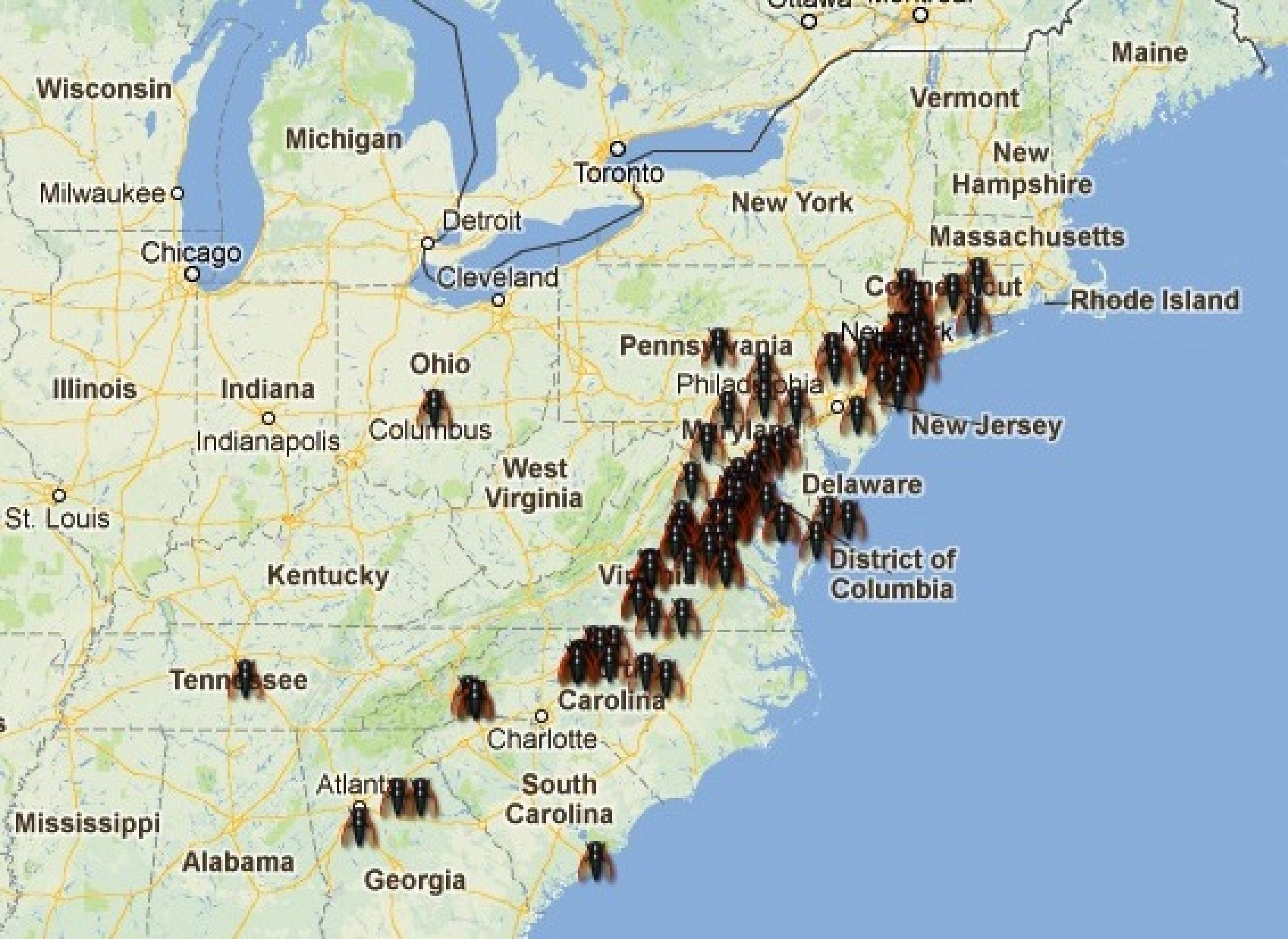 17 Year Cicada Locations