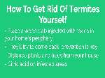 Get Rid Of Termites Naturally