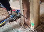 Subterranean Termite Treatment Options