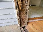 Termite Damage House