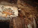 Termite Damage In Walls