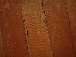 Termite Damage On Hardwood Floors