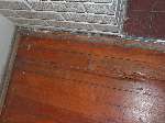 Termite Damage To Wood